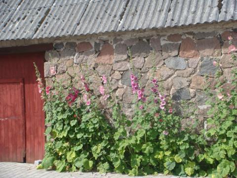 Lyngvej 16 B&B Skanderborg Exterior foto